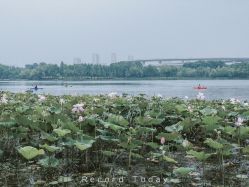 -剑鱼皮划艇俱乐部(石湖基地)