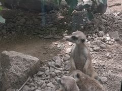 -北京海洋馆