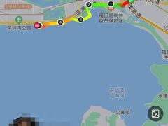 -深圳湾公园(南山区)
