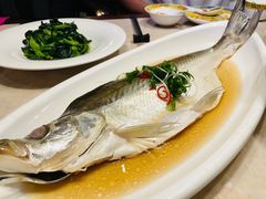 糟炖太湖白水鱼-人和馆·上海菜(肇嘉浜路店)