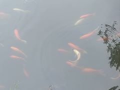-阿育王寺素斋馆