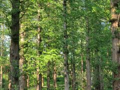 -国家植物园南园