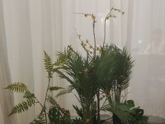 -上地宴·中关村的会客厅(清河高铁站店)