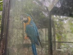 -海南热带野生动植物园