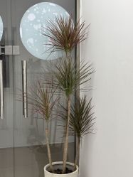 -安那般那皮肤年轻化ANAPANA