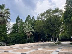 -苏州河梦清园环保主题公园