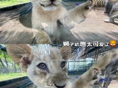 -秦皇岛野生动物园