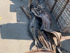 -青岛沙子口国家中心渔港