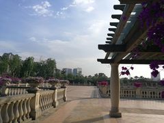 -府河摄影公园