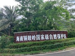 -海南铜鼓岭景区