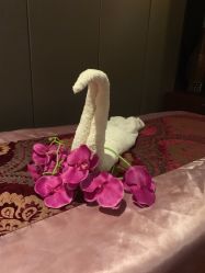 -诗泥SPA