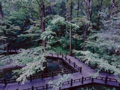 -国家植物园