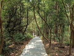 -梧桐山风景名胜区