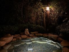 -天目湖涵田半山温泉