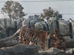 -祥源·阜阳生态乐园