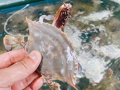 -蓝珊甄选海鲜自助·火锅大排档(近阿那亚店)