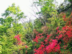 -四明山国家森林公园