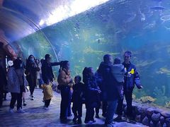 -华夏文旅海洋公园