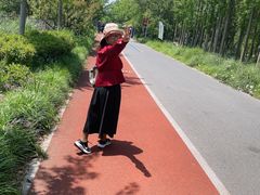 -上海长兴岛郊野公园