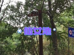 -青龙山国家森林公园
