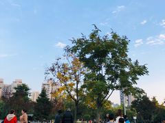 -沙河三洞古桥公园
