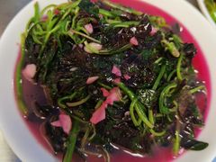 -胖哥家藏菜(护国路店)