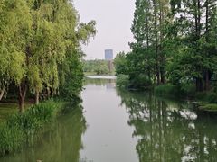 -昆山城市生态森林公园