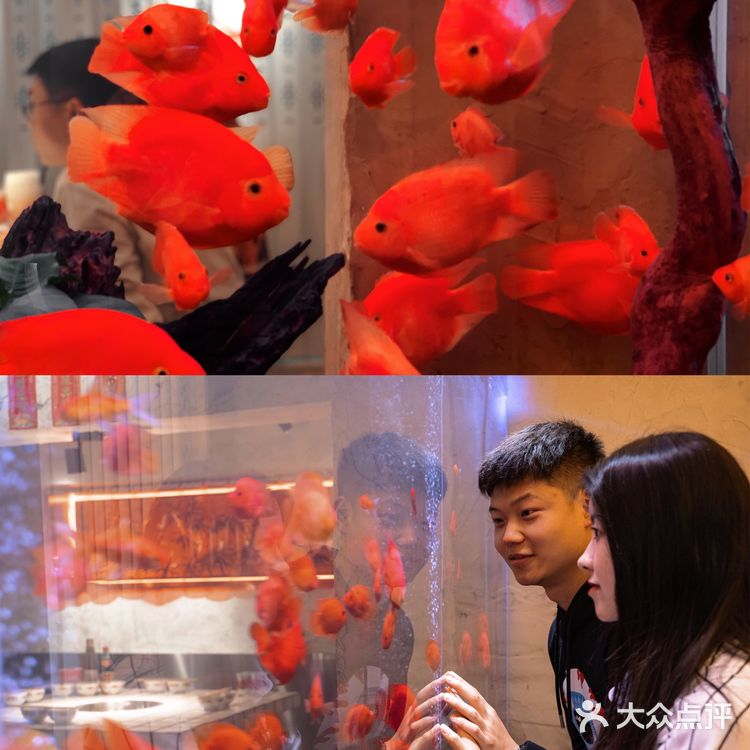 重庆探店💯 火锅馆里也能拍出浪漫大片  