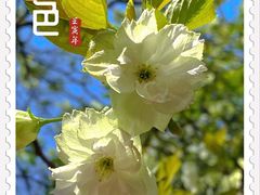 -涂山寺素食餐厅