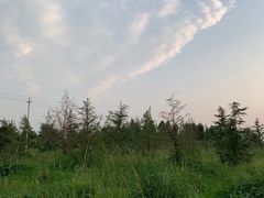 -东郊湿地公园