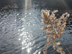 -太和山风景区