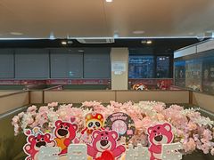 -海底捞火锅(新华联梦想城店)