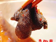 -来涮蜀鲜货火锅串串香(菜市口店)