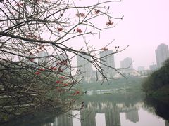 -重庆彩云湖湿地公园