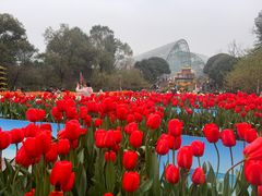 -南山植物园