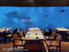 -海棠湾洲际-涛·海底餐厅·美人鱼·自助餐·海底隧道