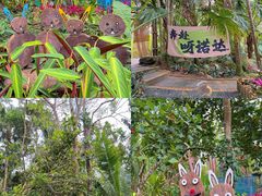 -呀诺达热带雨林