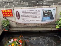 -燕喜堂·中华老字号(大明湖店)