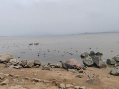 -深圳湾公园(南山区)