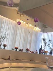 -韩芙莱芳疗spa健康管理