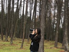 -硗碛藏寨·神木垒景区