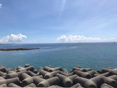 -美国村