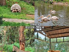 -云南野生动物园