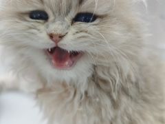 -湖南湘绣博物馆
