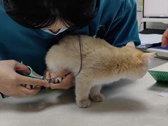 -中农国际动物医院24小时·猫科·骨科·急重症中心