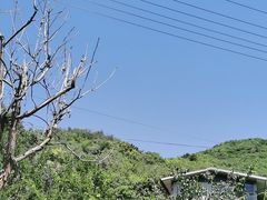 -大岭沟猕猴桃谷风景区