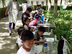 -甲乙果 美术书法(通州校区)