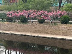 -元大都城垣遗址公园