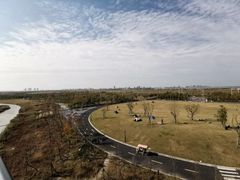 -春花秋色城市公园