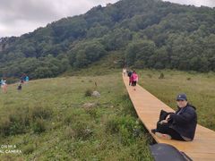 -白草畔自然风景区